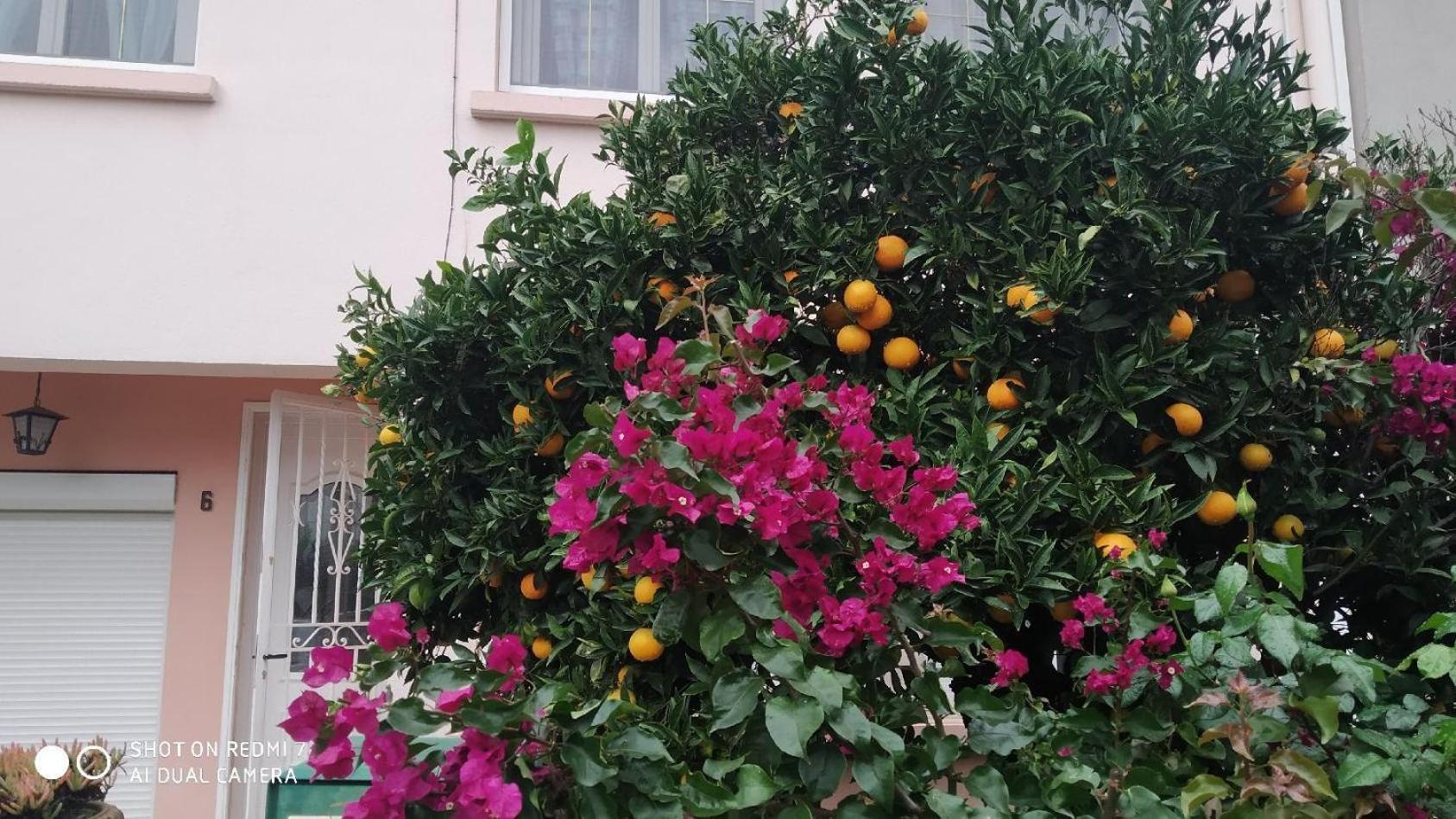 Chambres Tout Confort,Gare Tgv ,Wifi,Clim, Parking,Pt Dejeuner Perpignan Exterior photo